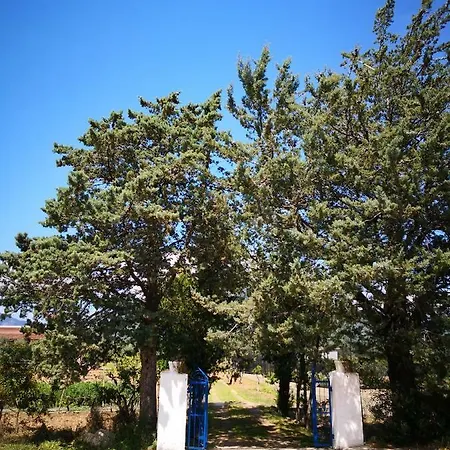 Walter בית נופש אוליאנה