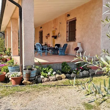 Walter * אוליאנה