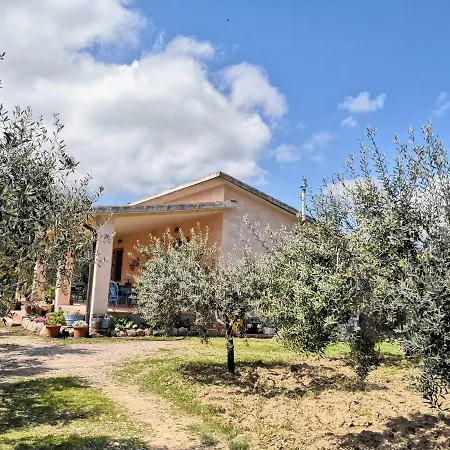 Walter Tatil Evi Oliena