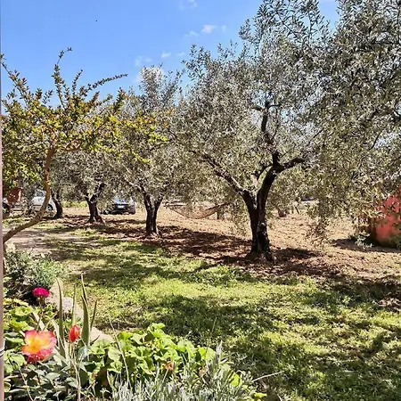 בית נופש Walter *