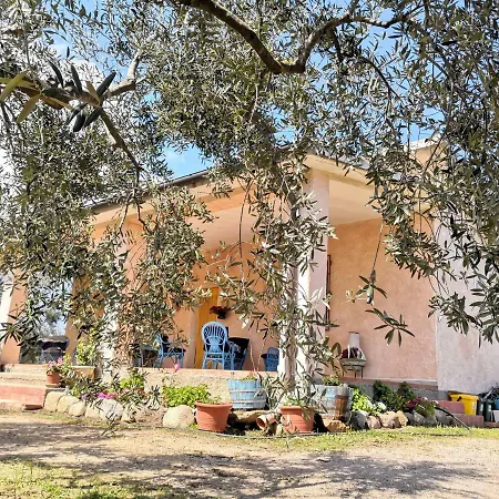 Walter * אוליאנה