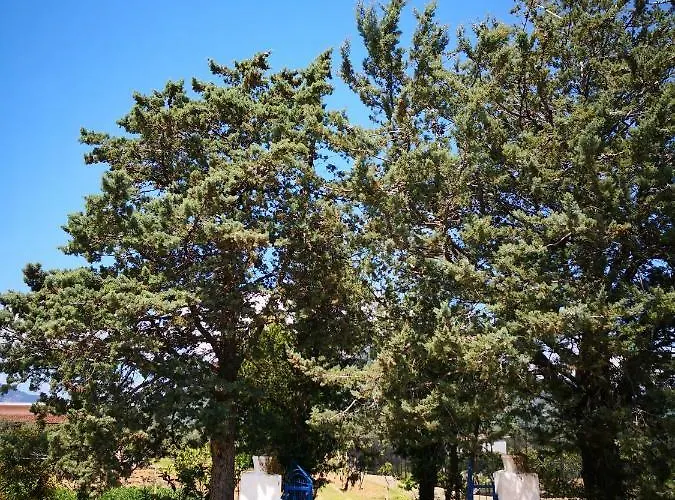 Walter Tatil Evi Oliena