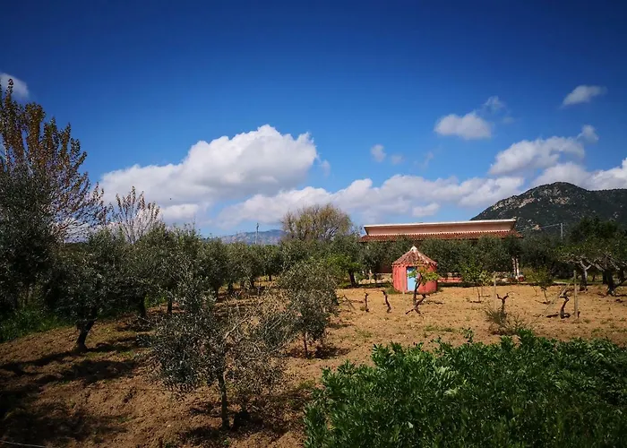 Tatil Evi Walter Oliena